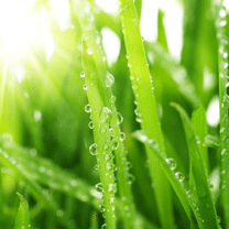 anh dep phong canh, ảnh đẹp phong canh