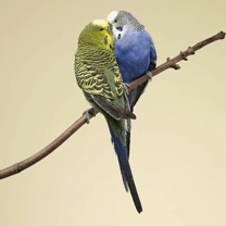 anh dep phong canh, ảnh đẹp phong canh