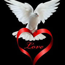 anh dep tinh yeu, ảnh đẹp tình yêu