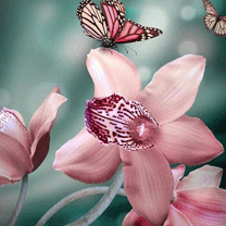 hinh nen hoa dep, hình nền hoa đẹp